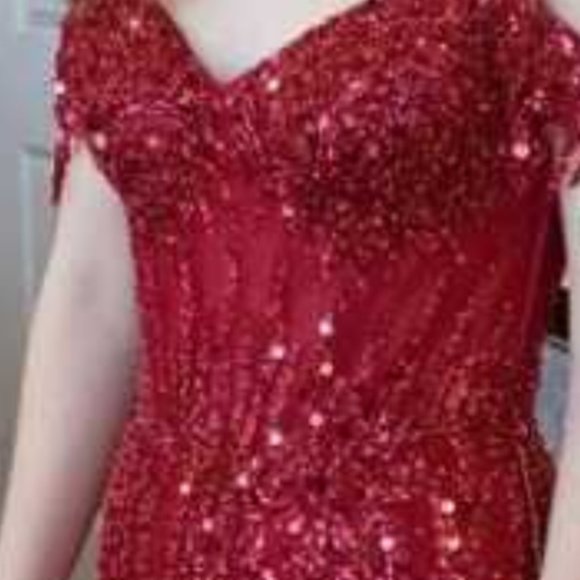 Cinderella Divine Dress / Gown CD0203 - Available to ship 4/17/23 - Picture 5 of 7